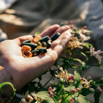 hand-holding-vitamins-minerals-flowers